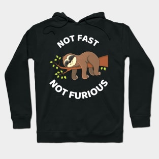 Not Fast Not Furious - Cute Lazy Funny Sloth Hoodie